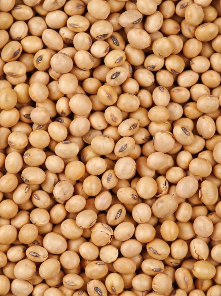Produtos 7