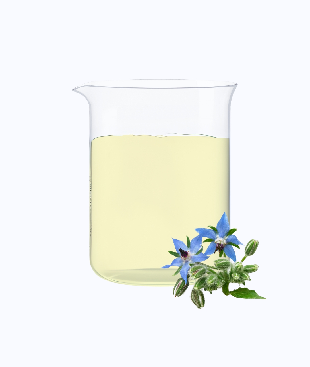 Borage oil